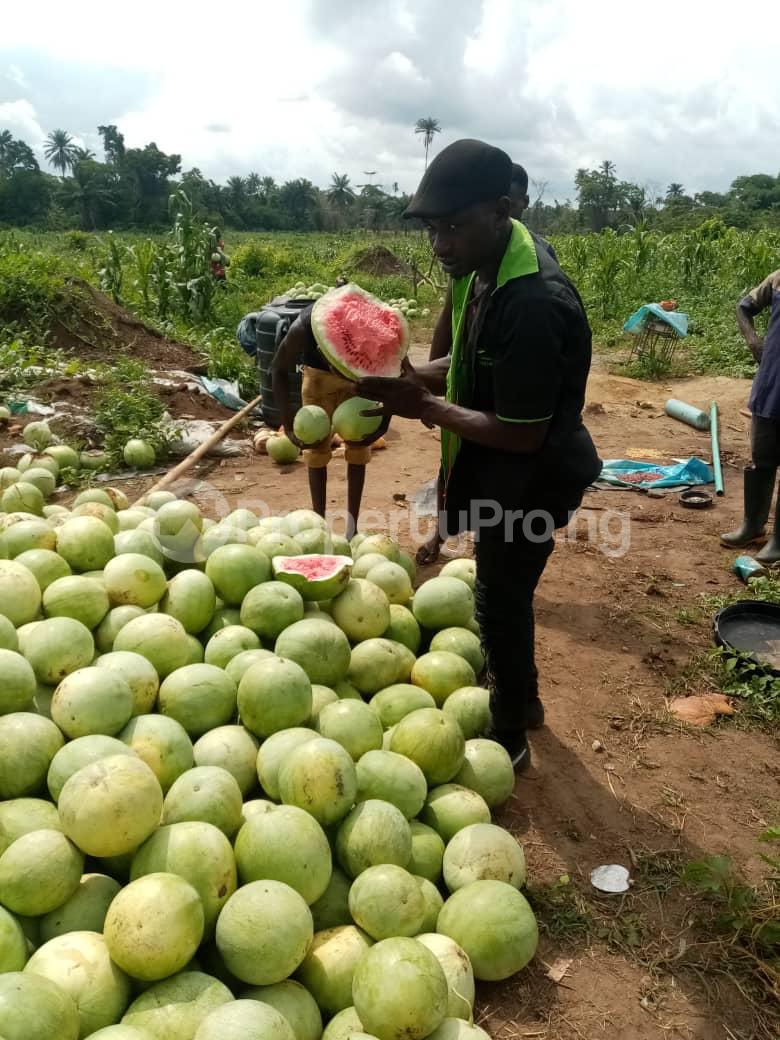 Commercial Property for sale Ode Remo Remo North Ogun