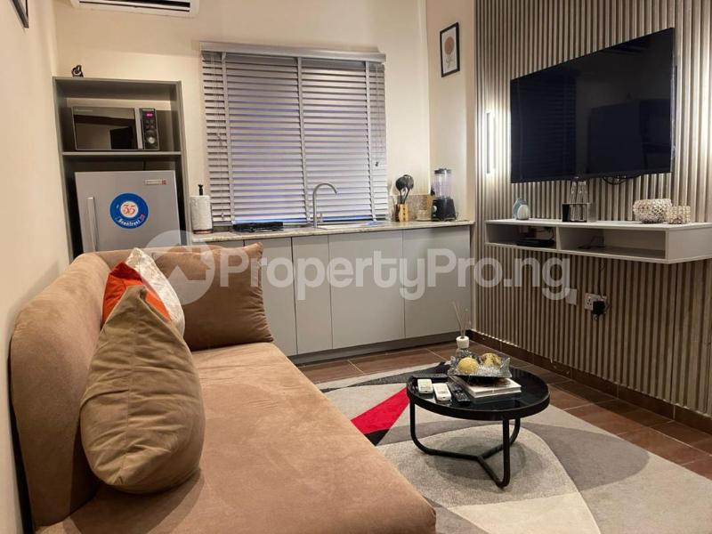1 bedroom Flat / Apartment for rent Dowen College Lekki Phase 1 Lekki Lagos