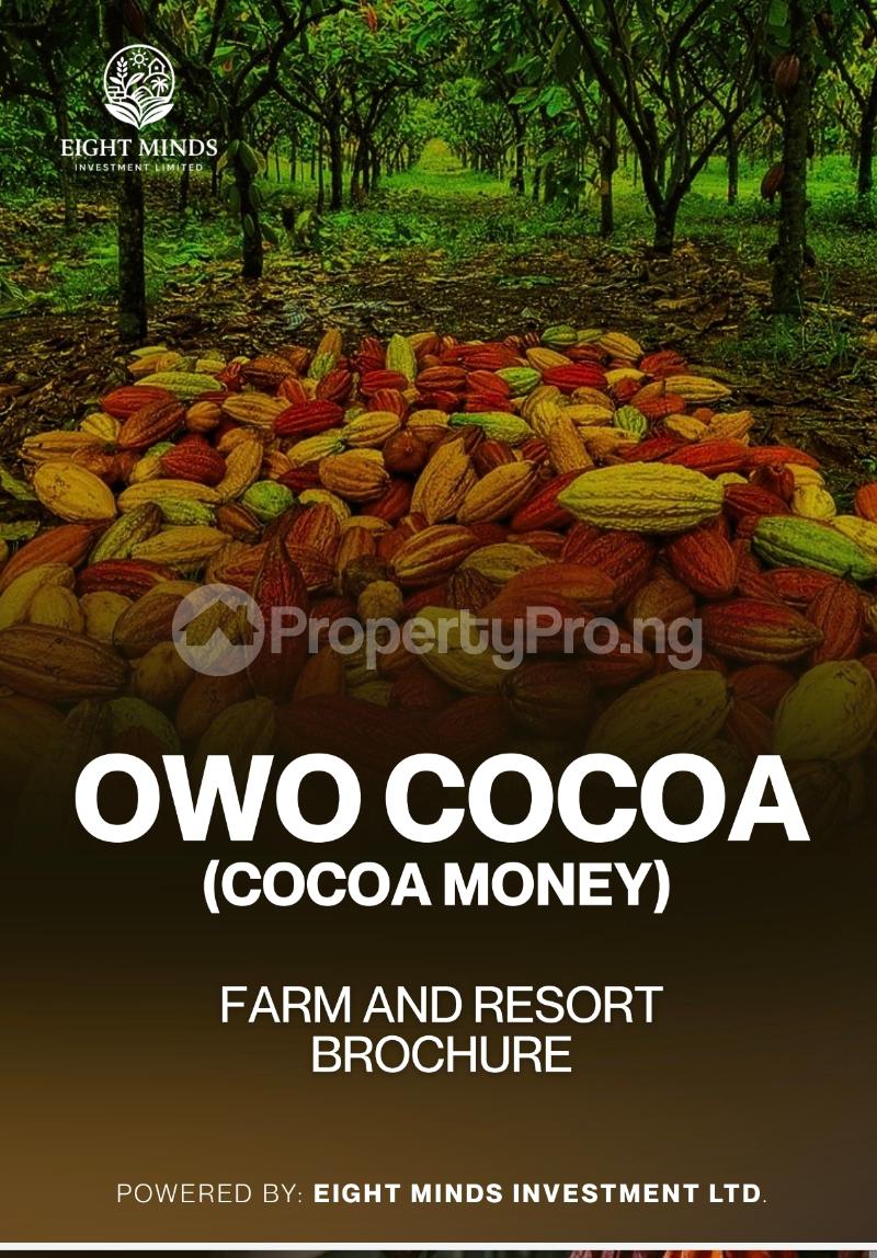 Land for sale Abeokuta Road Ogun makin Obafemi Owode Ogun - 0