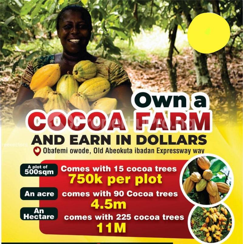 Land for sale Obafemi Owode Ogun - 0