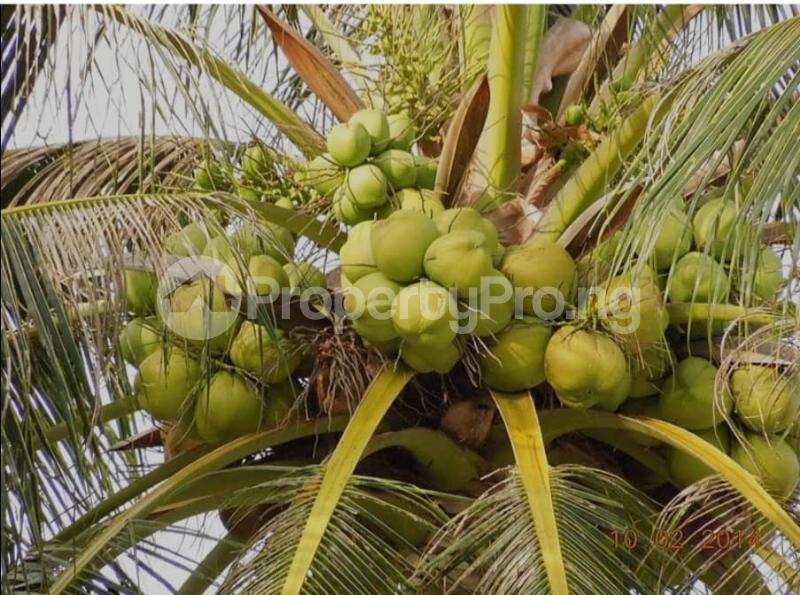 Land for sale Obafemi Owode Ogun