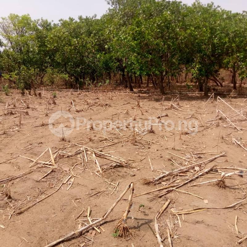 Land for sale After Winners Champel Lugbe Close To Hosanna Homes Lugbe Abuja