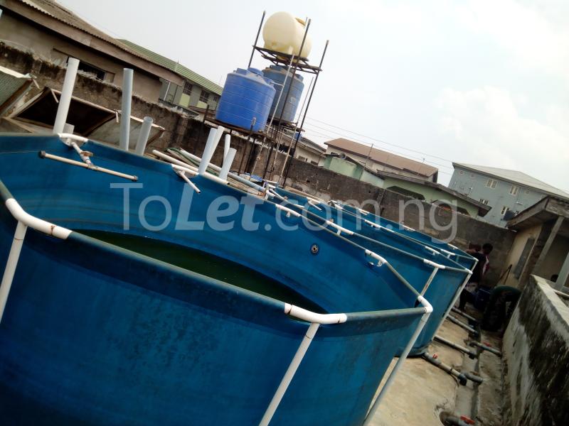 1 bedroom Commercial Property for rent Saki Idimu Egbe/Idimu Lagos