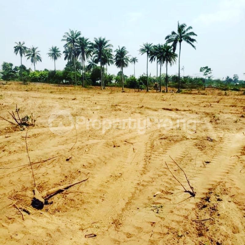 Commercial Property for sale Ibeju Lekki Dangote Refinery Road Free Trade Zone Ibeju-Lekki Lagos