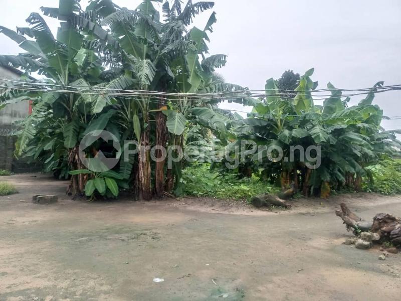 Land for rent Km 16 Port Harcourt Aba Expressway, Off Boskel Road, Elelenwo, Port Harcourt Obio-Akpor Rivers - 0