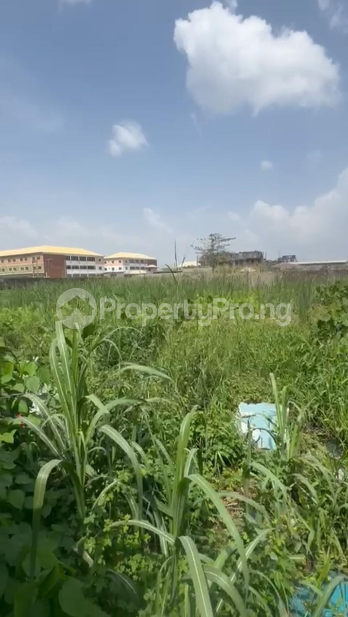 Land for sale Sangotedo Ajah Lagos