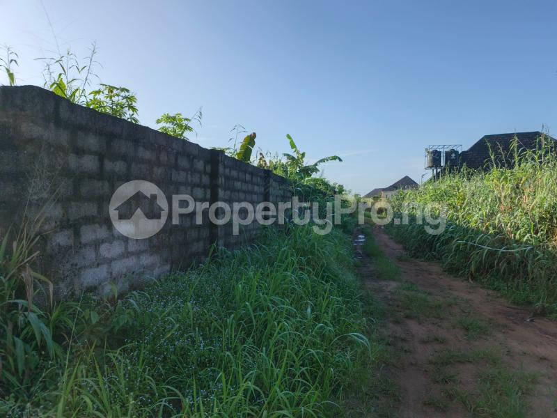 Land for sale Amakabo Avenue By White House Avu Owerri Imo - 0