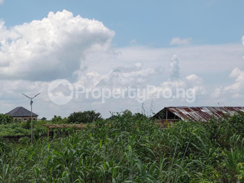 Land for sale Amakabo Avenue By Missionary School Owerri Imo - 0