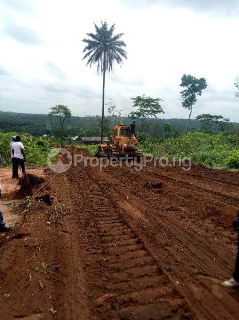 Land for sale Crystal Palace Estate, Currently Selling. 100 By 100 Of The Estate Land For 800, 000 Naira Only. Oredo Edo