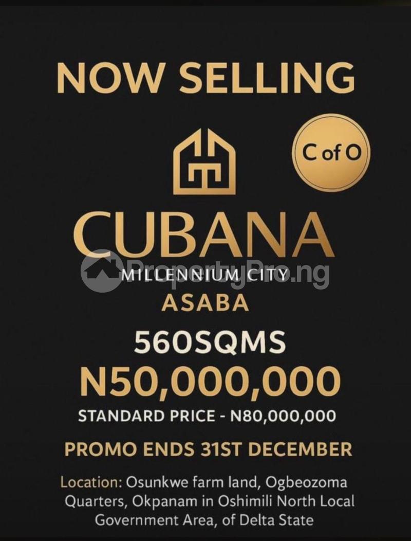 Land for sale Okpanam Along Benin–onitsha Expressway Close To Wichtech Junction Asaba Delta