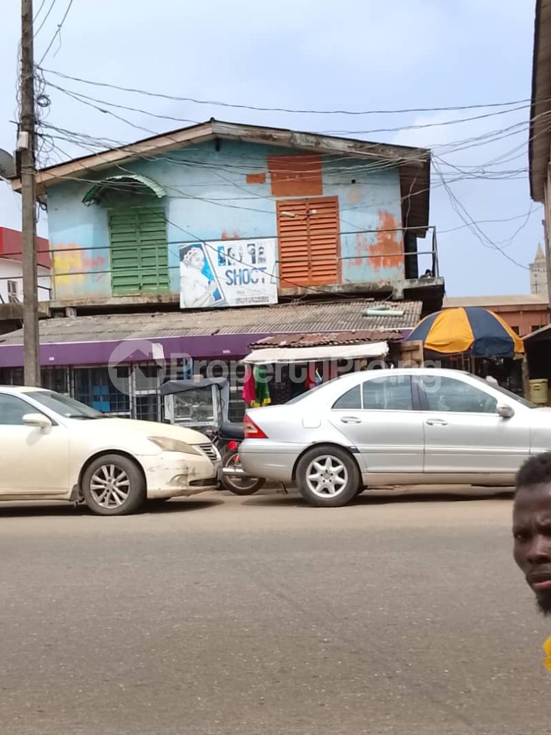 Land for sale Ikorodu Palace Express Road Ikorodu Ikorodu Lagos