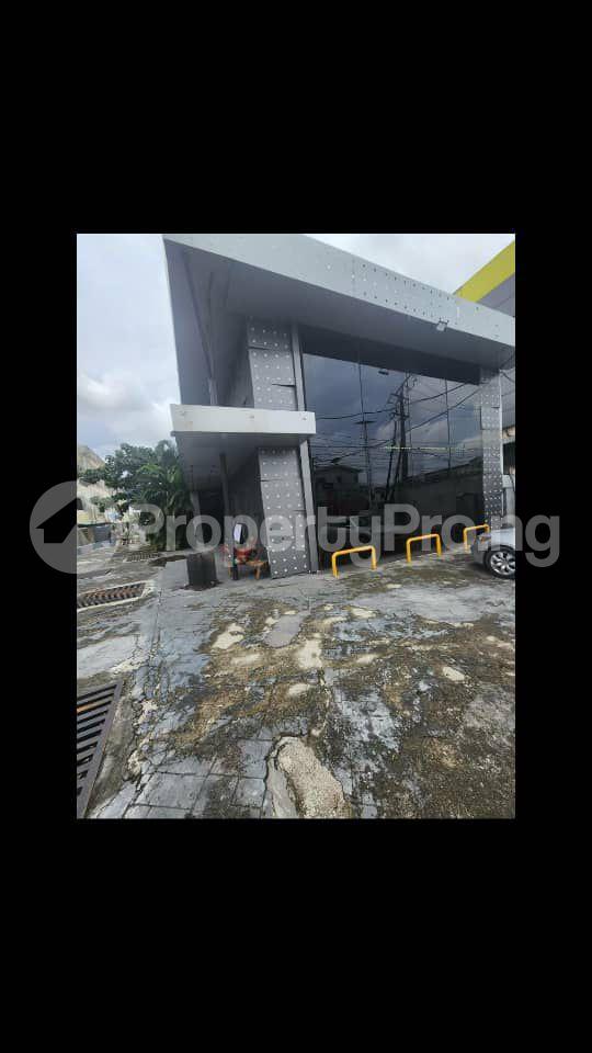 5 bedroom Commercial Property for rent Awolowo Road Ikoyi Lagos