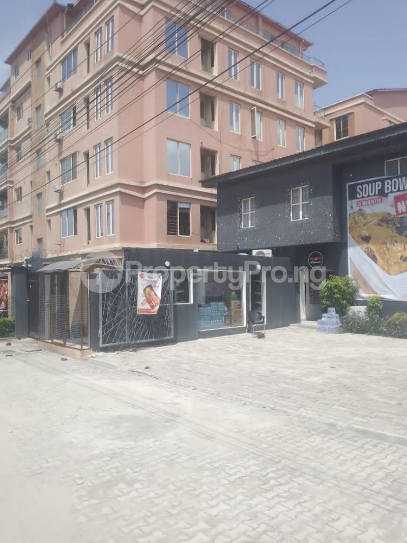 Commercial Property for sale  ONIRU Victoria Island Lagos - 0