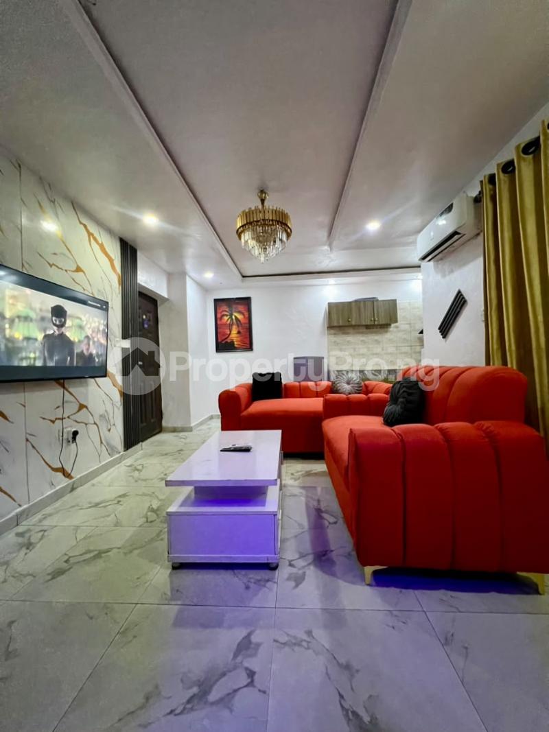 2 bedroom Flat / Apartment for shortlet Ogunlana Surulere Lagos