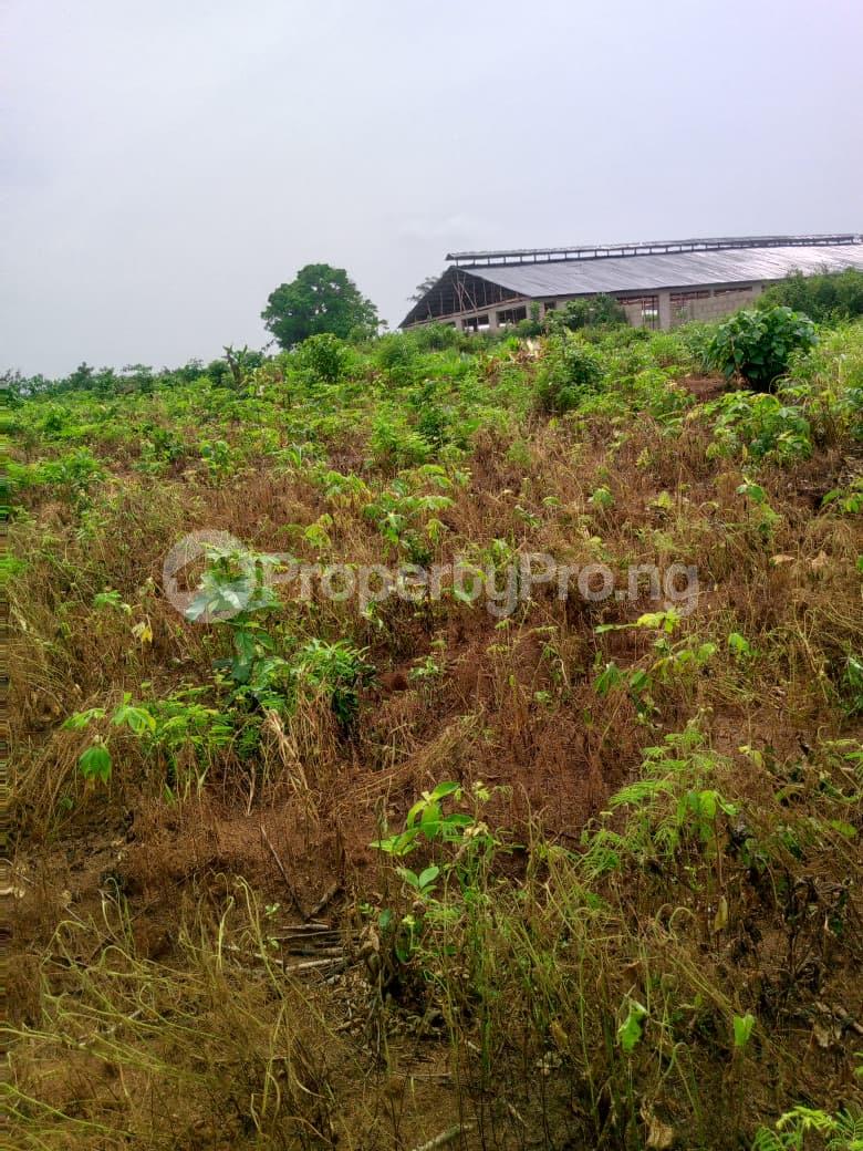 Land for sale Thera Annex Sangotedo Ajah Lagos