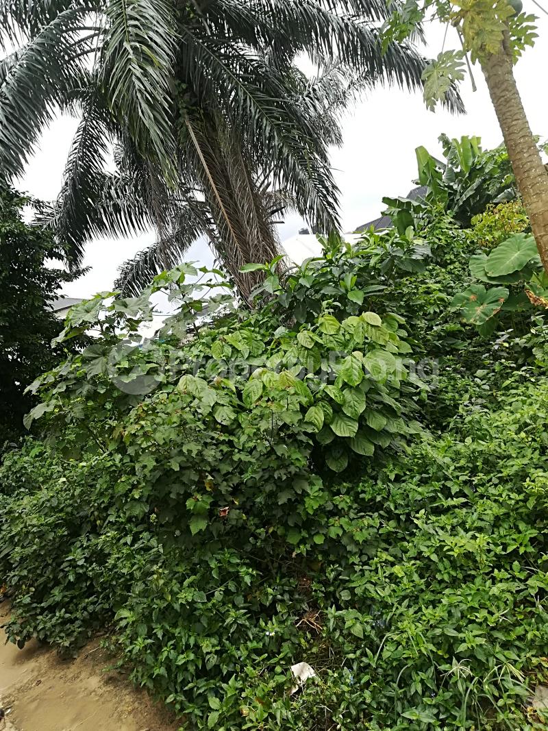 Land for sale Use Offot @nwaniba Road Uyo Uyo Akwa Ibom