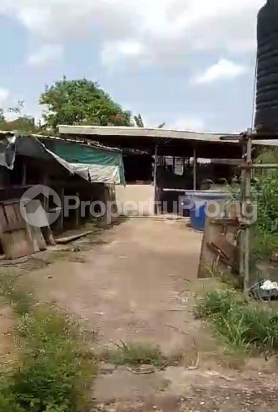 Land for sale Ayobo Ipaja Lagos