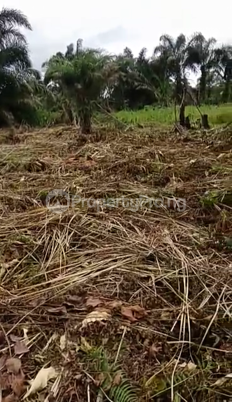 Land for sale Elesekan, Ibeju Lekki Eputu Ibeju-Lekki Lagos