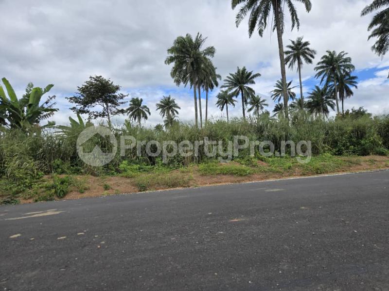 Land for sale Most Affordable Land Facing The Express In Ajebo Obafemi Owode Ogun