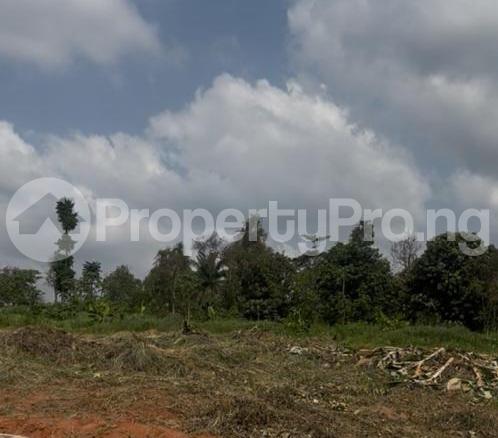 Land for sale Diamond Estate, Behind Int'l Brewery Kajola Obafemi Owode Ogun - 0