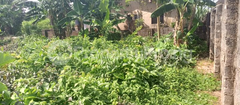 Land for sale Behind Nipco Filling Station Eyaen Benin City Uhunmwonde Edo - 0
