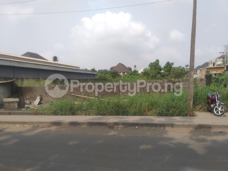 Land for sale Alakoso Avenue, Off Festac Access Road Apple junction Amuwo Odofin Lagos