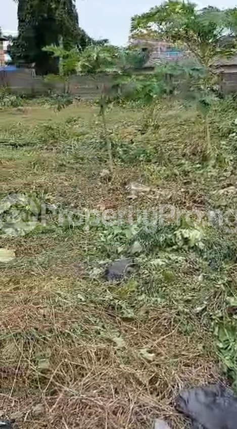 Land for sale Owode, Langbassa Ajah Lagos