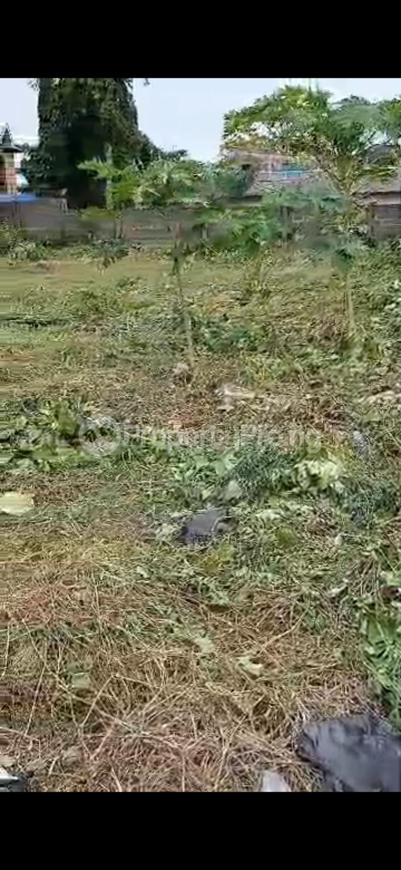 Land for sale Owode, Langbassa Ajah Lagos