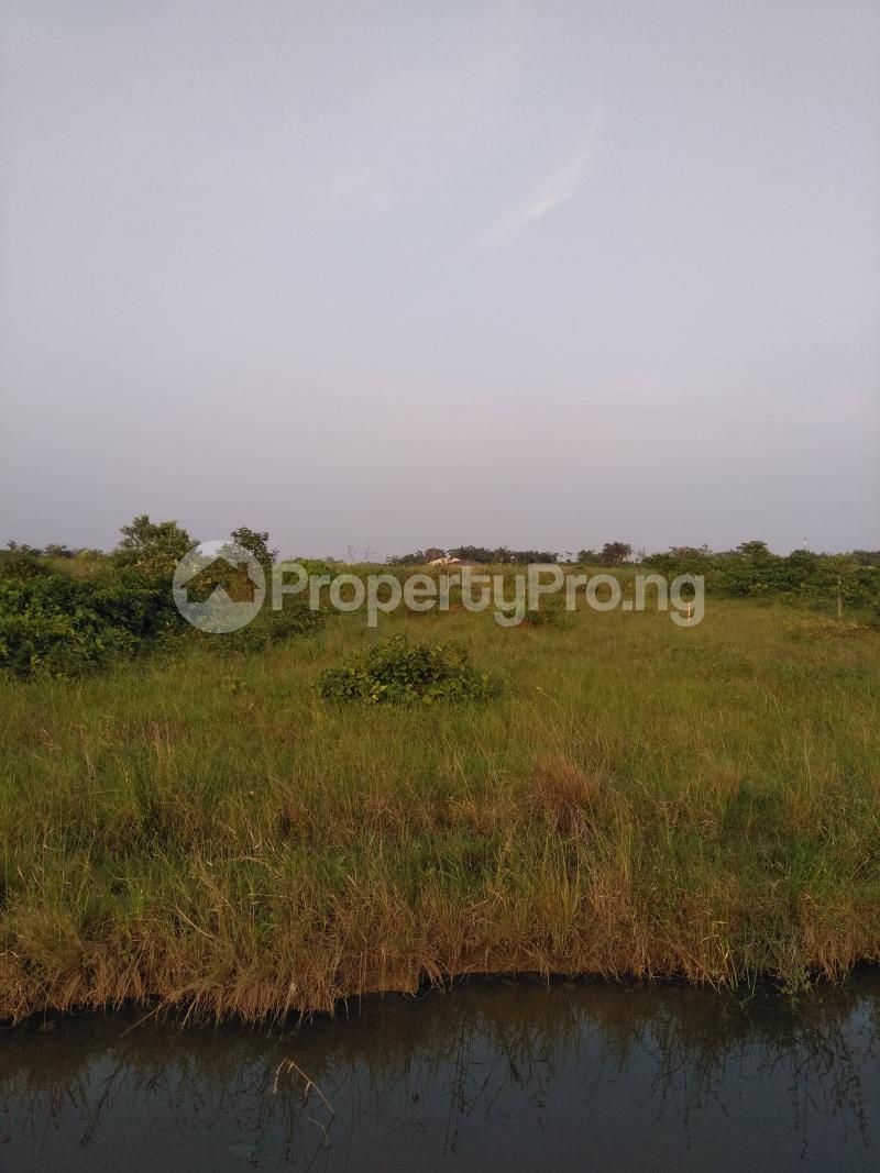 Land for sale Ibeju Town Eleko Ibeju-Lekki Lagos