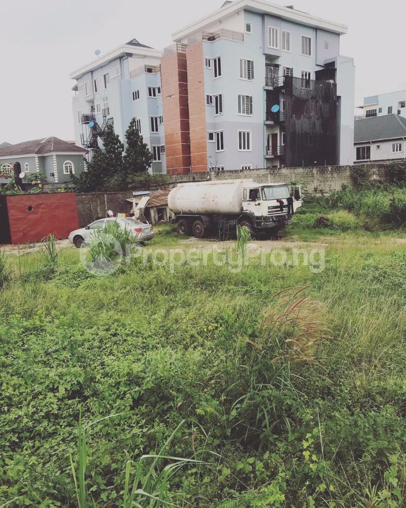 Land for sale Ifako Ogudu Express Way Ogudu Lagos - 0