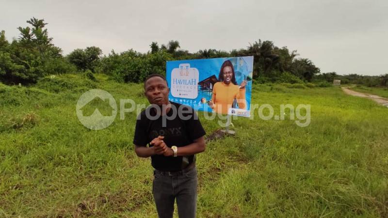 Land for sale 5 Minutes Drive From The Popular Akodo Ise General Hospital Before Lekki Free Trade Zone Akodo Ise Ibeju-Lekki Lagos