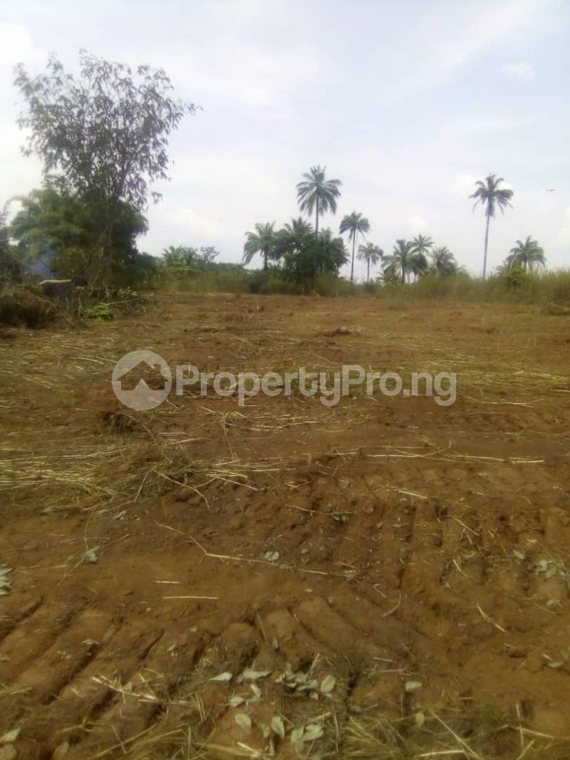Land for sale Amansea By Unizik Awka Anambra State Anambra Anambra