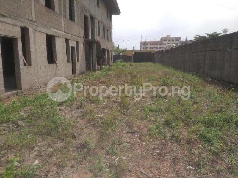 Commercial Property for sale Off Festac Access Road Apple junction Amuwo Odofin Lagos - 1