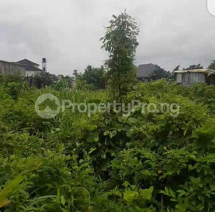 Land for sale New Airport Road By Obiri Ikwerre East West Road Port Harcourt Rivers