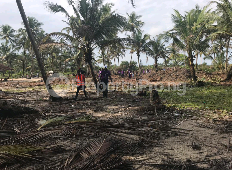 Land for sale Free Trade Zone Ibeju-Lekki Lagos