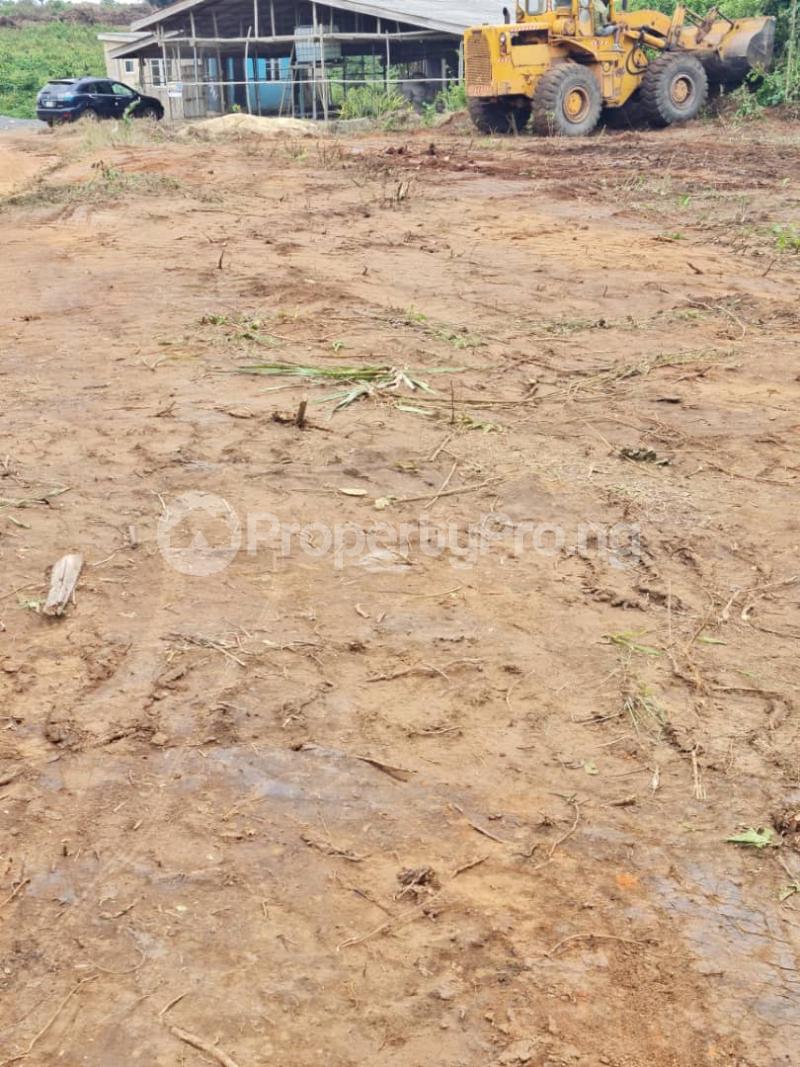 Land for sale Elite Genesis Garden Phase 2 Inside Hope Villa Estate Before Shoprite Sangotedo. Sangotedo Ajah Lagos