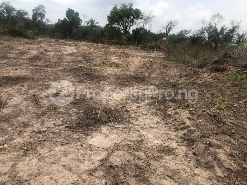 Land for sale Ibeju-Lekki Lagos