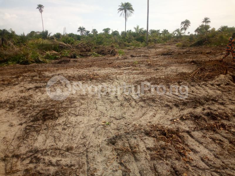 Land for sale LaCampaigne Tropicana Ibeju-Lekki Lagos