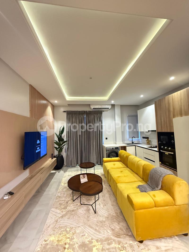 1 bedroom Flat / Apartment for shortlet Lekki Phase 1, Off Freedom Way, Lekki Lekki Phase 1 Lekki Lagos - 7