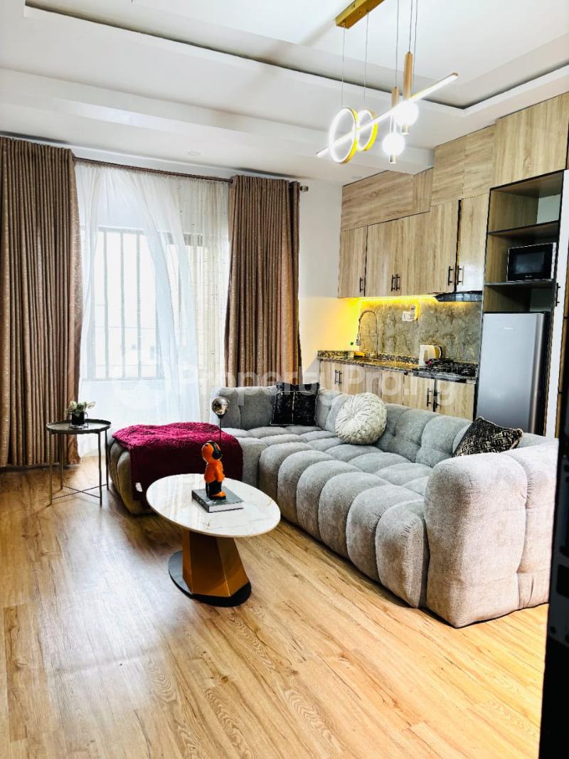 1 bedroom Flat / Apartment for rent Ikate Lekki Lagos