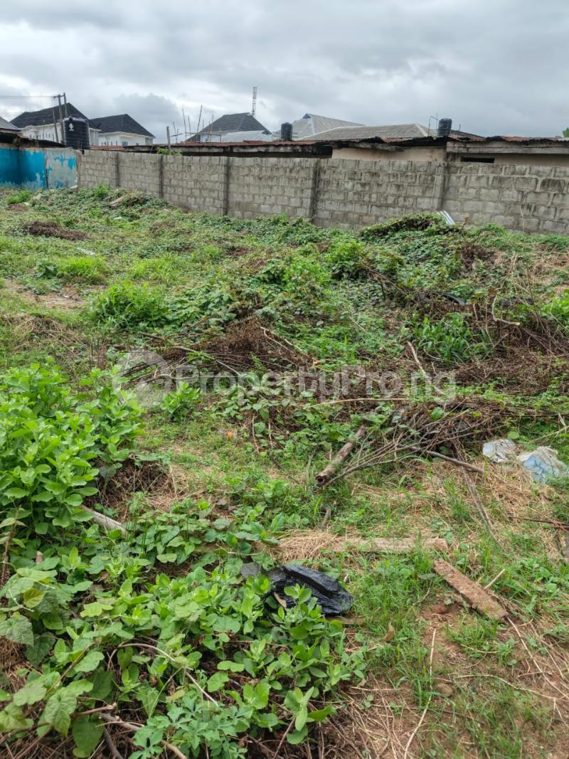 Land for sale Omole phase 2 Ojodu Lagos - 0
