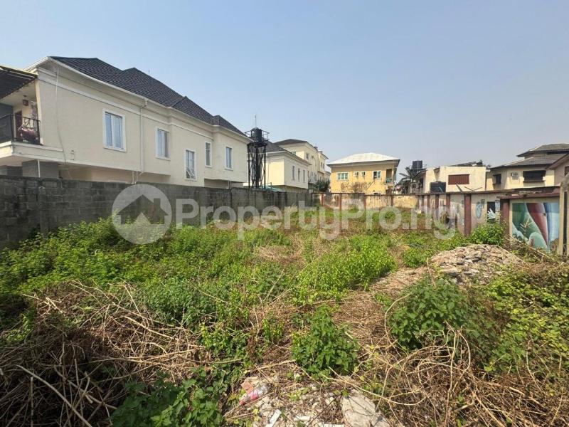 Land for sale Omole Phase 1, Aguda(Ogba) Ogba Lagos