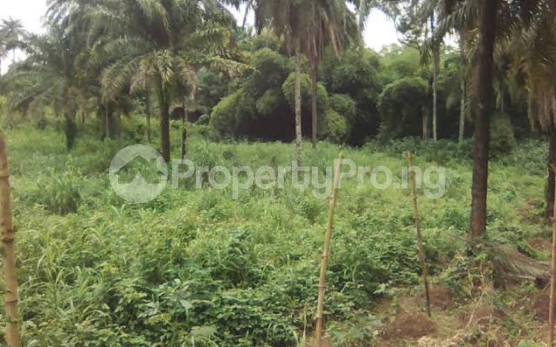 Land for sale Alatise Alatise Ibeju-Lekki Lagos