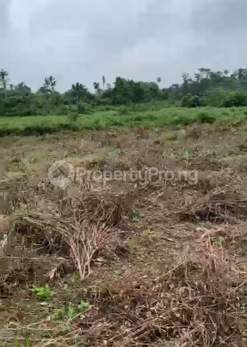 Land for sale Treasure Island Estate Phase 2 Kajola Obafemi Owode Ogun