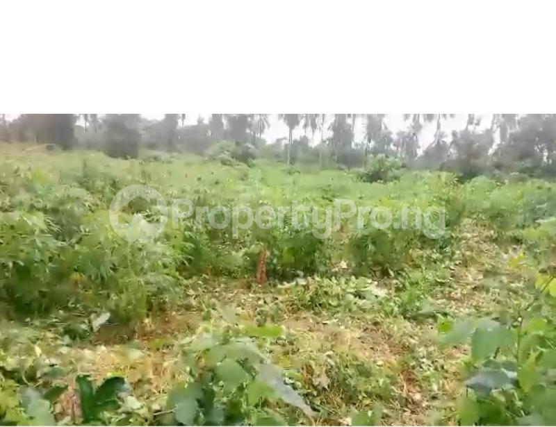 Land for sale Ipara Road Via Ogere Ajebo Obafemi Owode Ogun