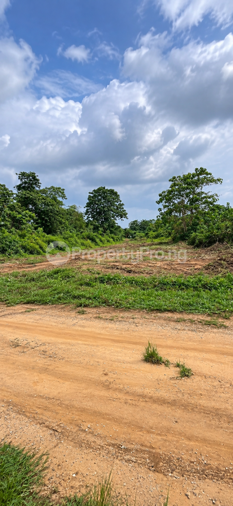 Land for sale Igwurta-Ali Port Harcourt Rivers - 0