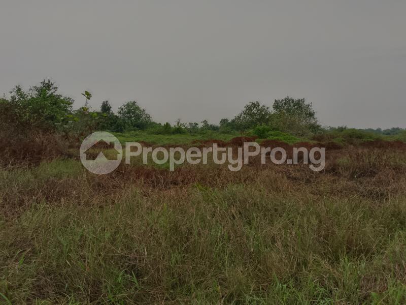 Land for sale Eleranigbe Ibeju-Lekki Lagos