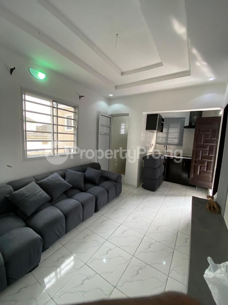1 bedroom Flat / Apartment for rent Ogudu Ogudu Lagos - 5