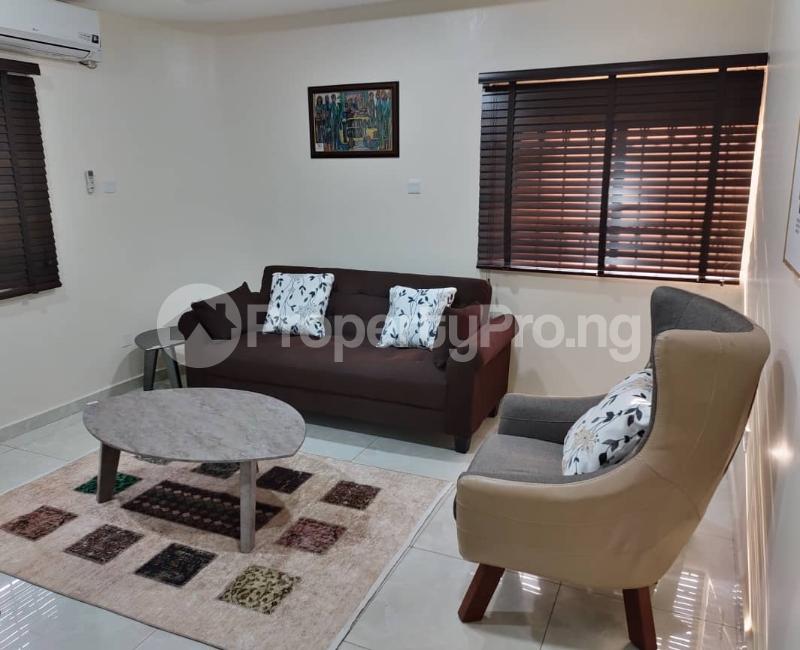 1 bedroom Flat / Apartment for shortlet Ademola Adetokunbo Crescent Wuse 2 Abuja - 19