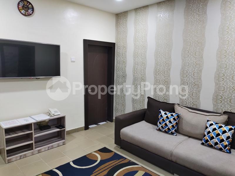 1 bedroom Flat / Apartment for shortlet Ademola Adetokunbo Crescent Wuse 2 Abuja - 14